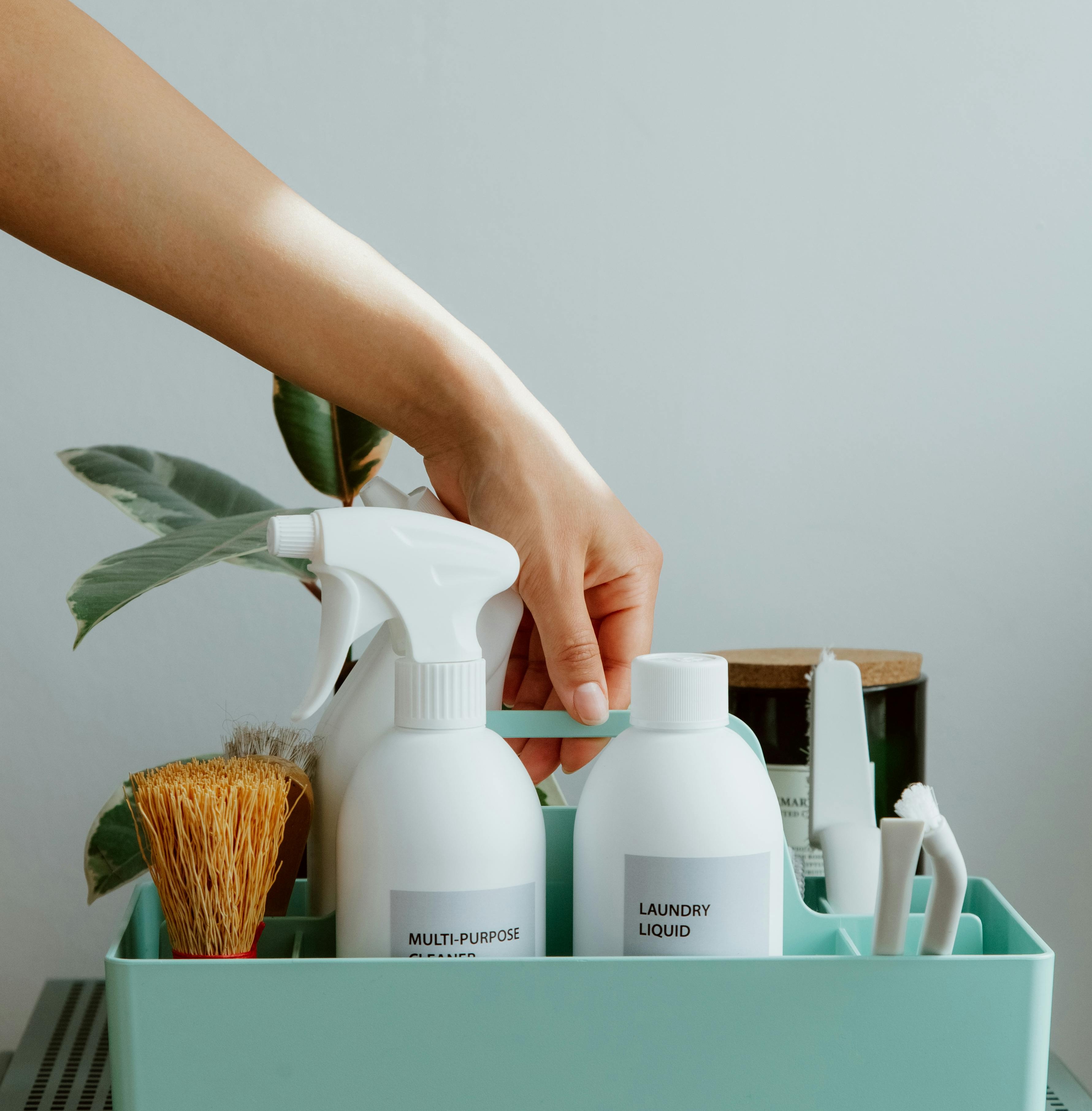 Servizi Ecologici,Pulizia, pulizia di lusso, igiene, brillantezza, sanificazione, cura degli ambienti, splendore, pulizia professionale, ordine, dettagli impeccabili, freschezza, alta qualità, servizio premium, perfezione, benessere, eleganza, comfort, ambiente raffinato, pulizia profonda.